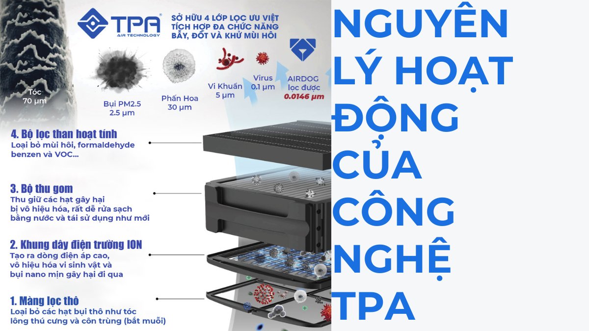 Nguyên lý hoạt động của công nghệ TPA