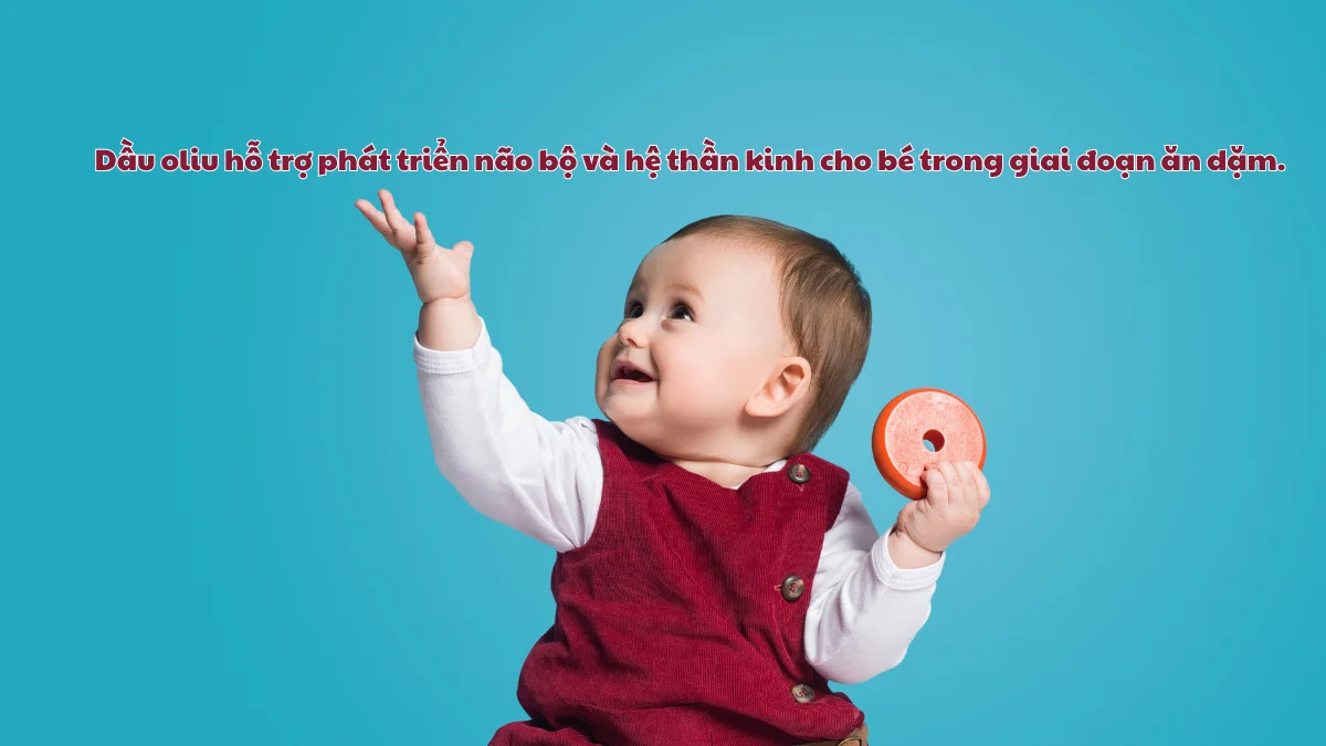 Dầu oliu chứa nhiều omega-3, omega-6 đóng vai trò quan trọng trong quá trình phát triển của não bộ