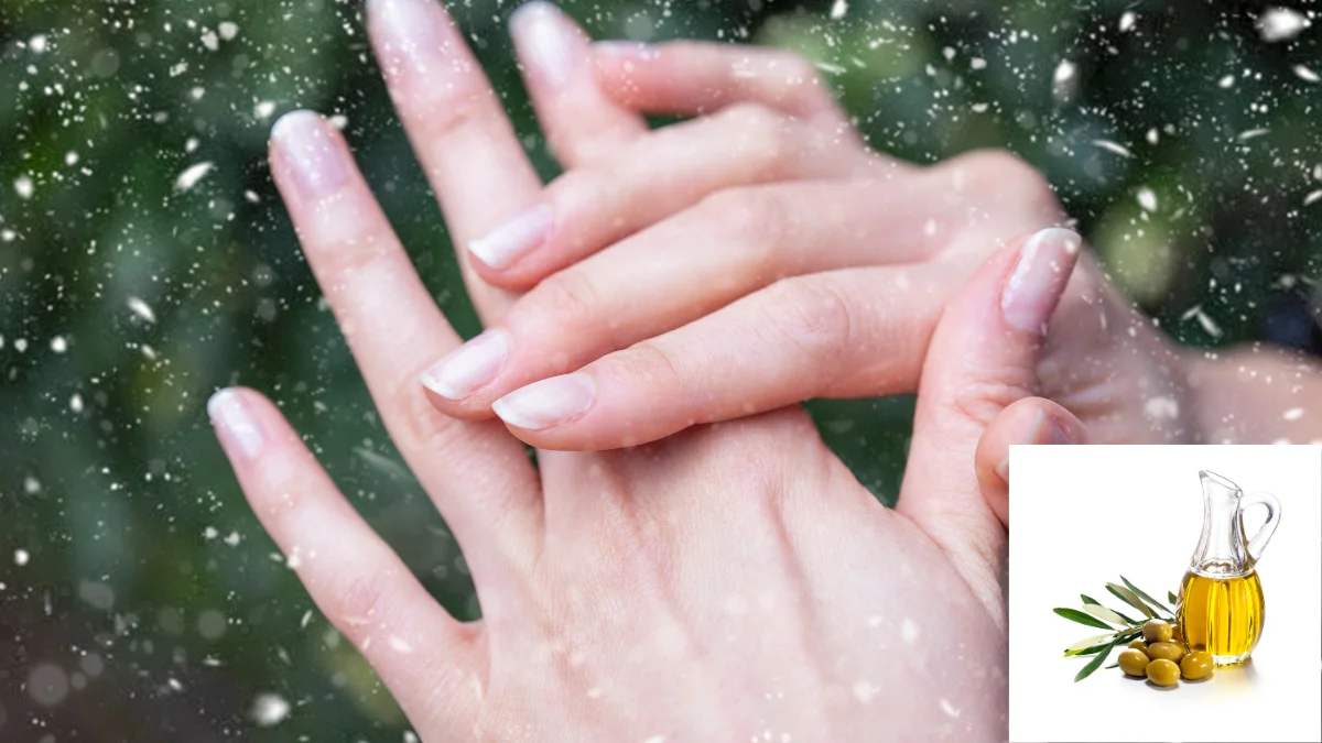 Dầu oliu là lựa chọn lý tưởng nhờ khả năng giữ ẩm sâu và làm mềm da tức thì
