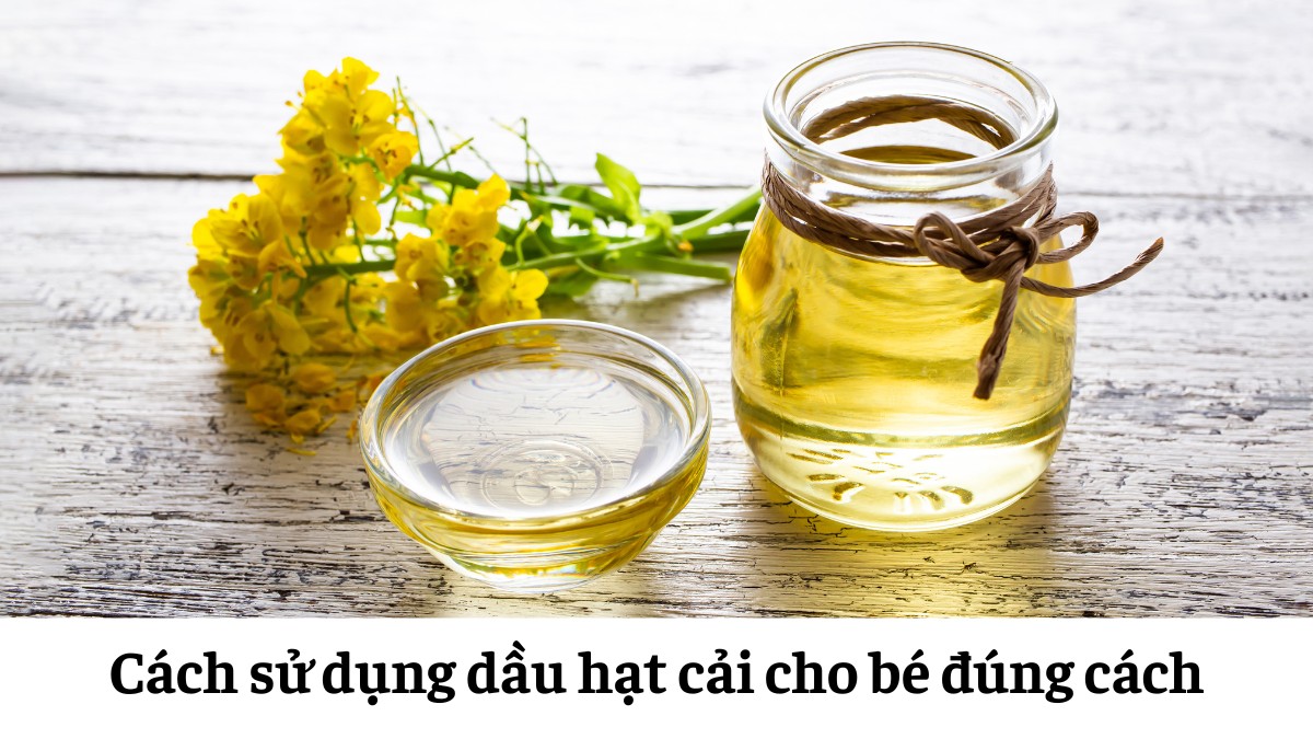 Để tận dụng tối đa giá trị dinh dưỡng mà không gây áp lực lên hệ tiêu hóa non nớt, mẹ cần hiểu rõ cách sử dụng dầu hạt cải cho bé đúng chuẩn