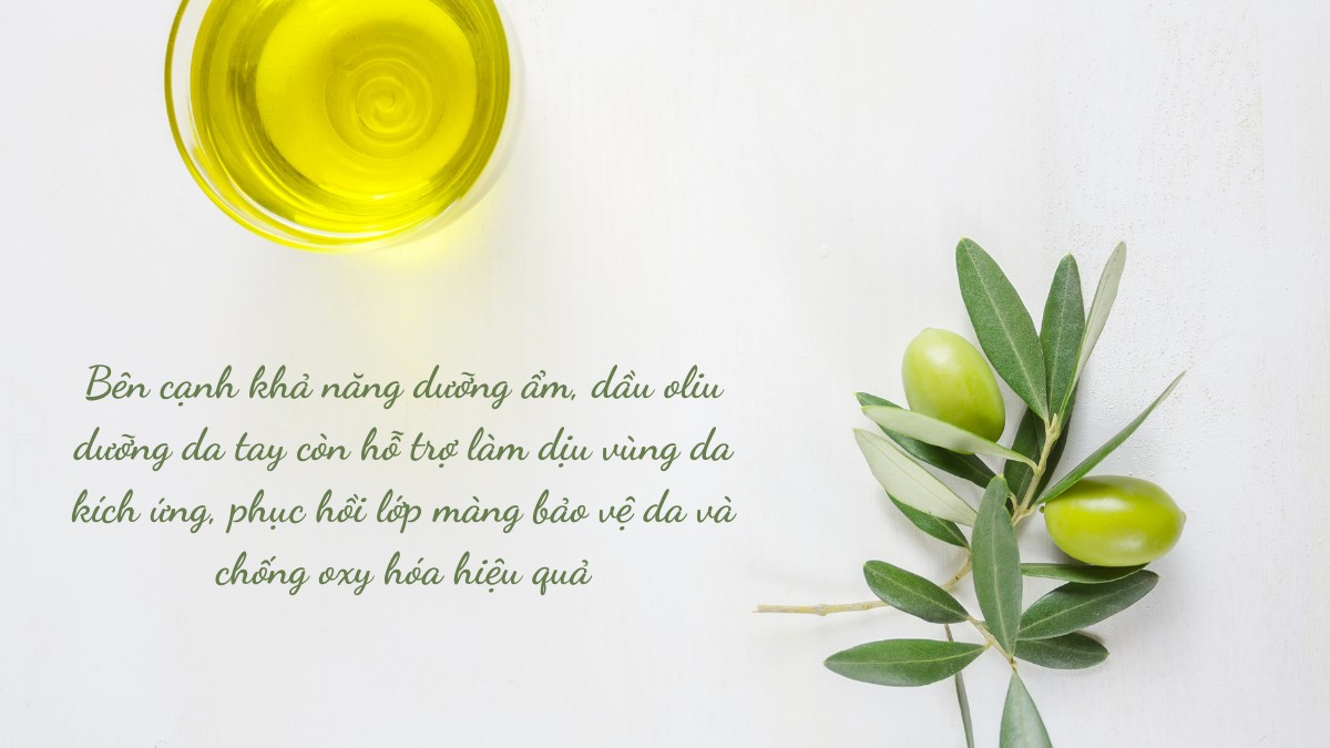 Dầu oliu dưỡng da tay không chỉ là nguyên liệu tự nhiên dễ tìm mà còn chứa nhiều dưỡng chất quý giá cho làn da