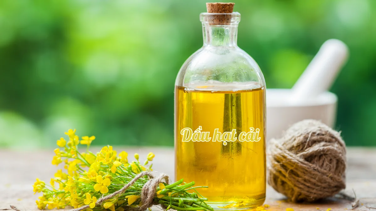 Dầu hạt cải chứa nhiều chất có lợi cho cơ thể