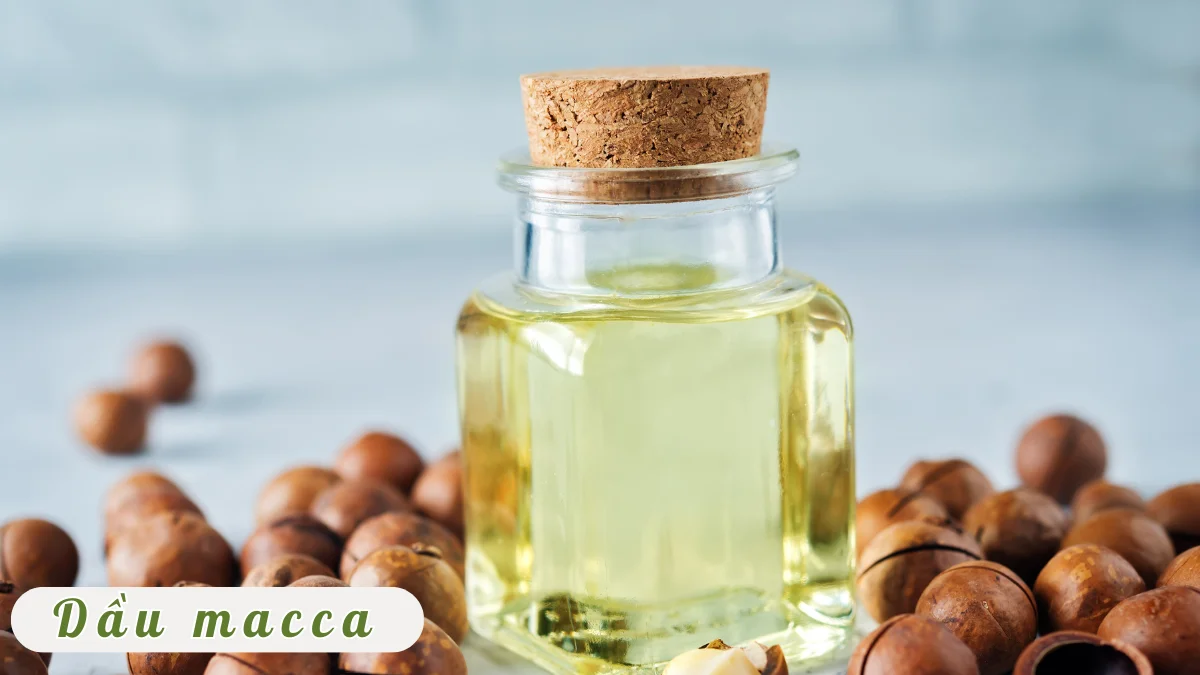 Dầu macca giàu hàm lượng dinh dưỡng thiết yếu cho cơ thể