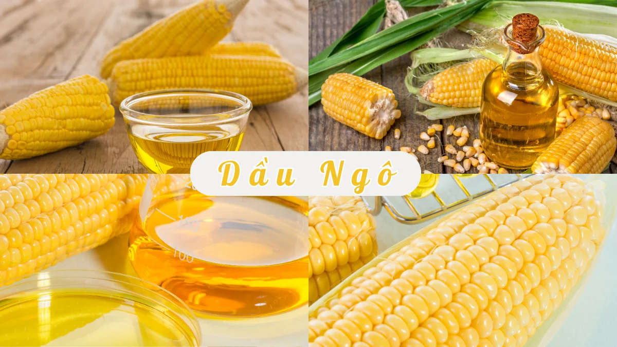 Dầu ngô tốt cho tim mạch, chưa nhiều hàm lượng phytosterol