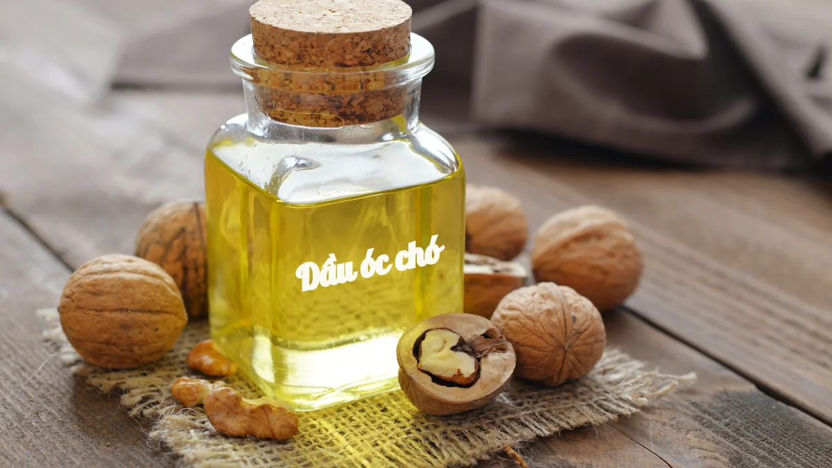 Dầu óc chó giúp bổ sung trí nhớ
