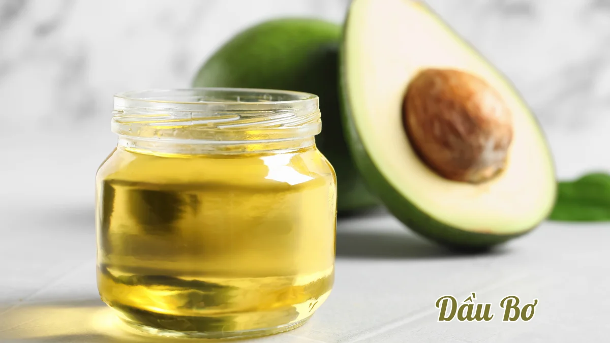 Dầu quả bơ thơm ngon béo ngậy