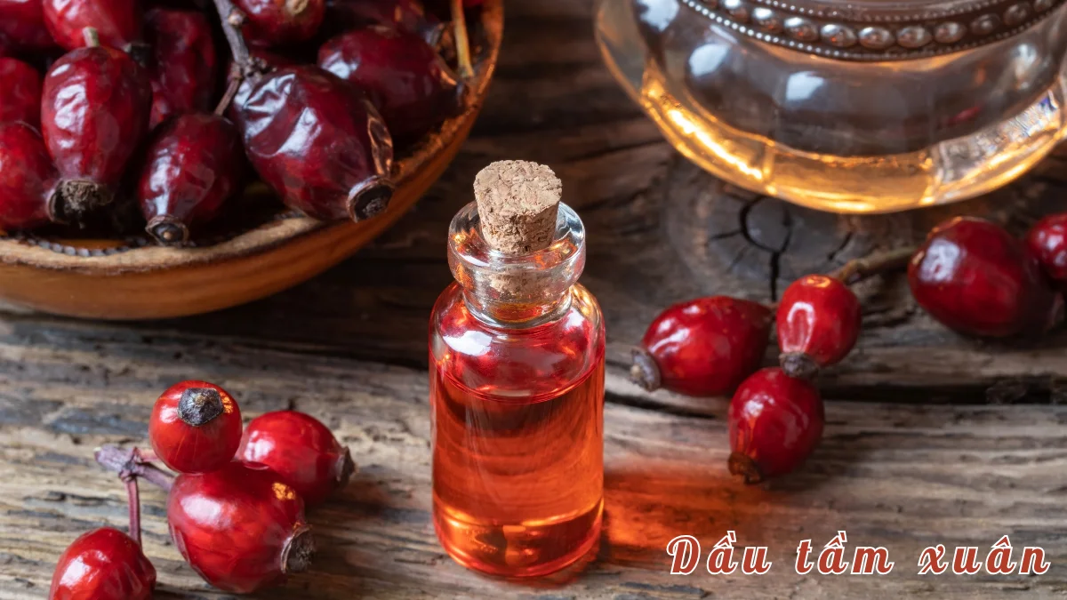 Dầu tầm xuân giàu dưỡng chất vitamin C