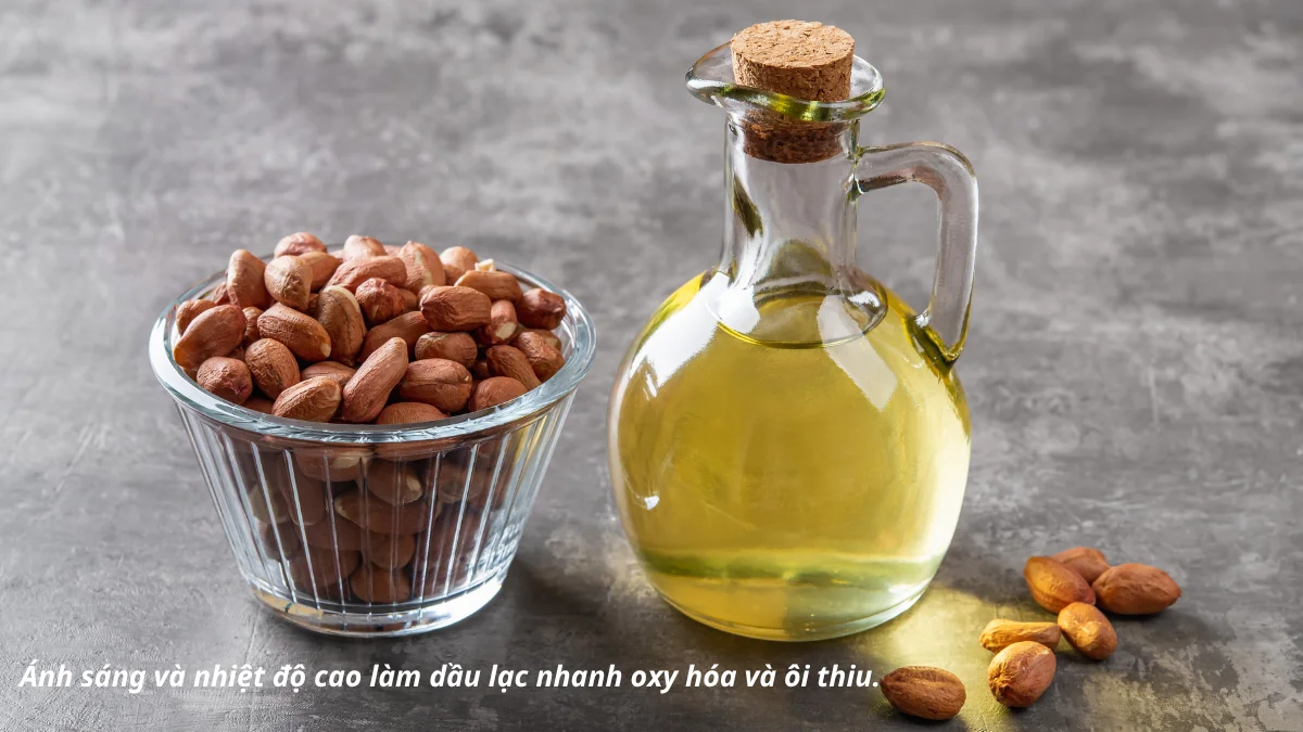 Dầu lạc nên được bảo quản nơi khô ráo
