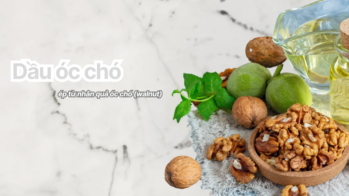 Hạt óc chó là loại hạt có nhiều dinh dưỡng