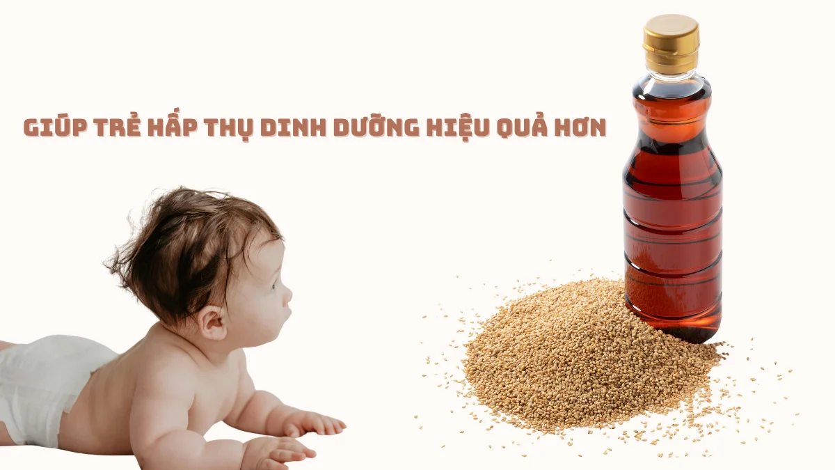 Sử đụng dầu mè ăn dặm cho bé giúp bé hấp thụ tốt hơn