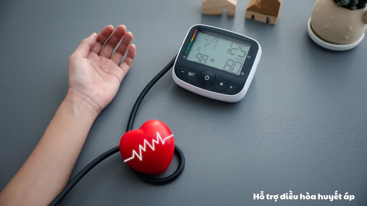 Dầu mè chứa magie và lignan giúp cải thiện chức năng nội mô mạch máu