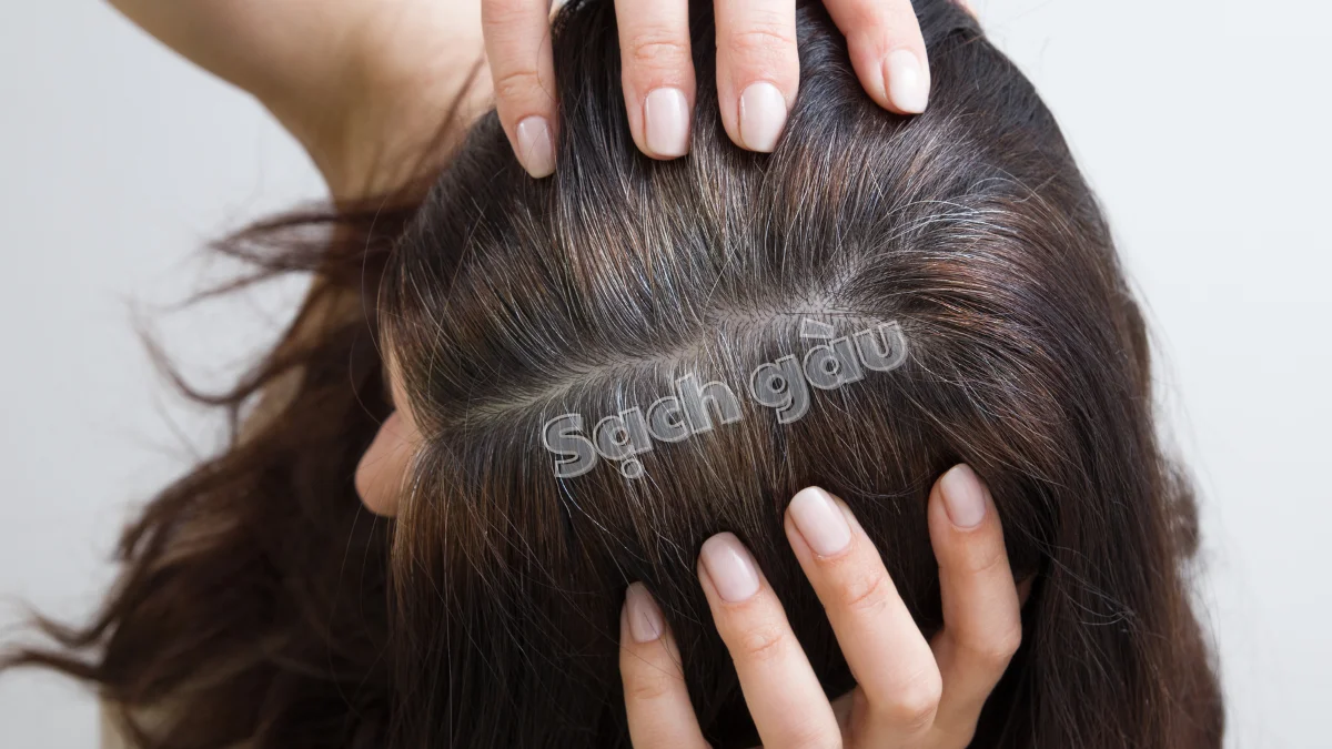 Cung cấp nước cân bằng độ ẩm và hỗ trợ giảm gàu hiệu quả