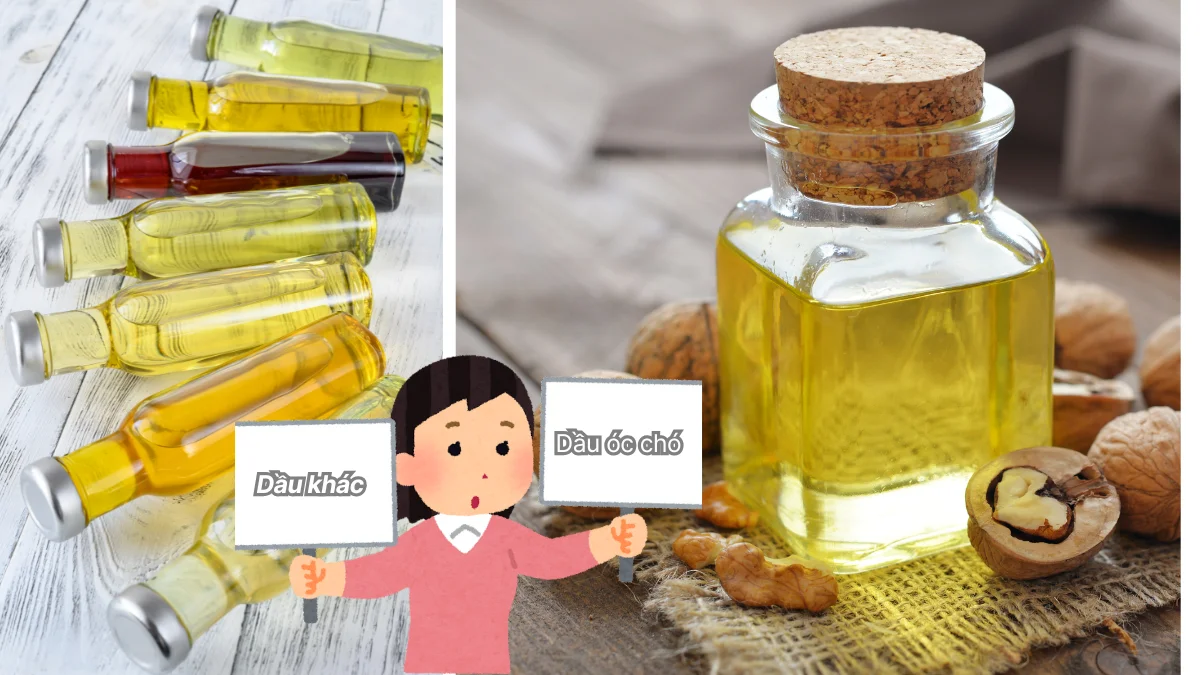 So sánh dầu óc chó và các loại dầu khác