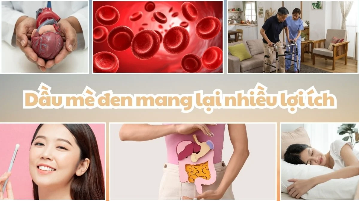 Dầu mè đen đem lại nhiều lợi ích cho khỏe