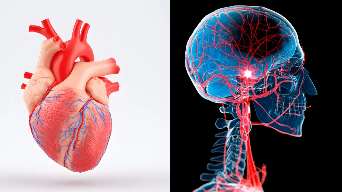 Trợ thủ đắc lực cho sức khỏe