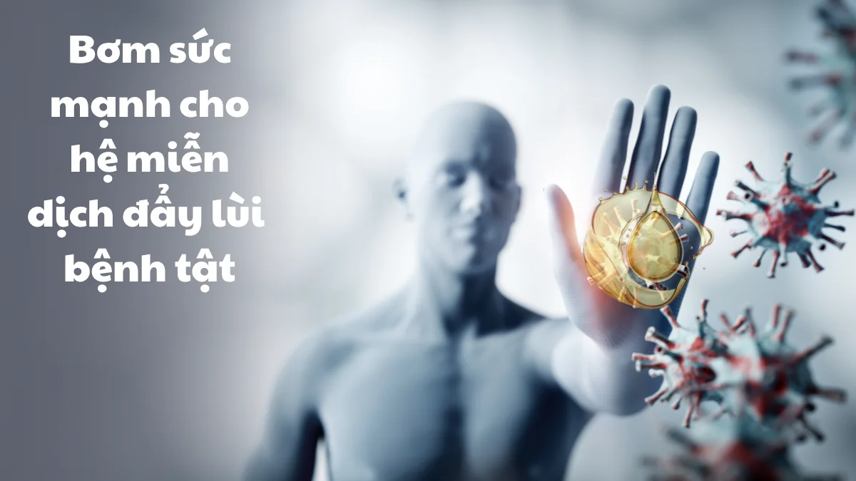Tăng cường sức đề kháng, miễn dịch