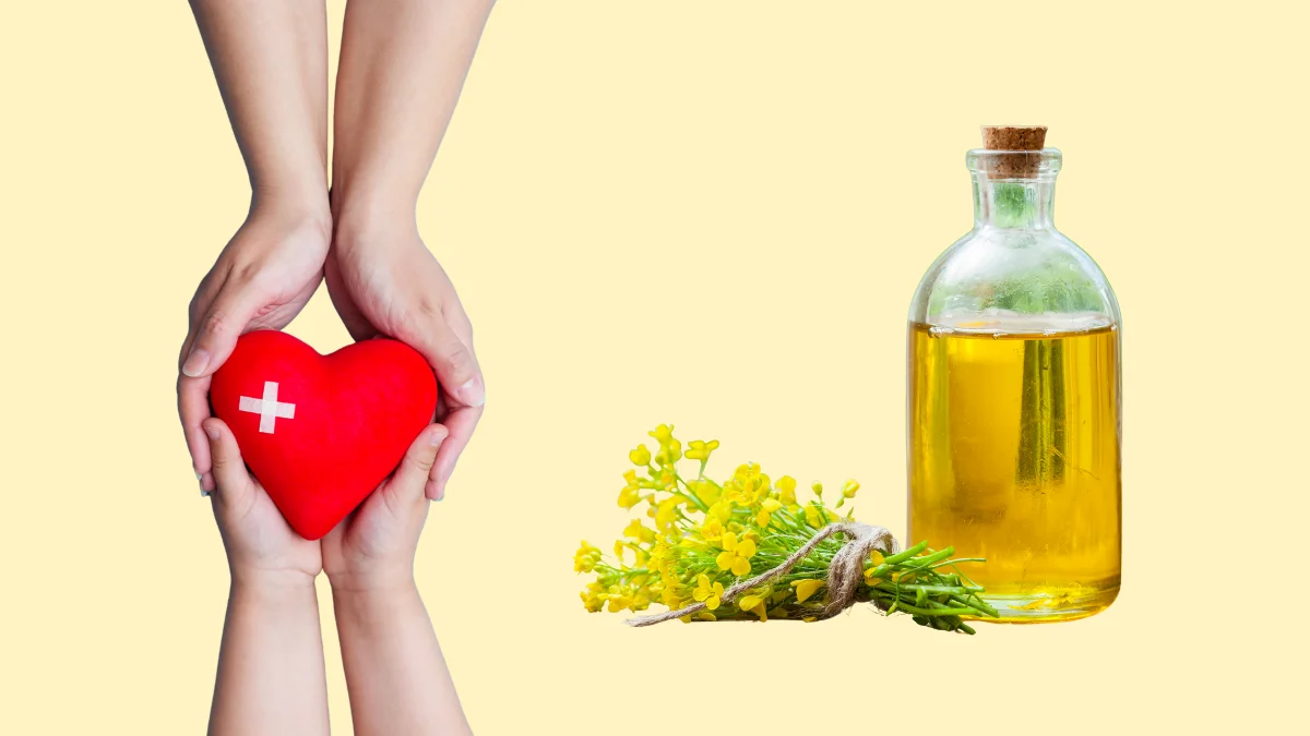Dầu hạt cải chứa nhiều omega, tốt cho sức khỏe tim mạch