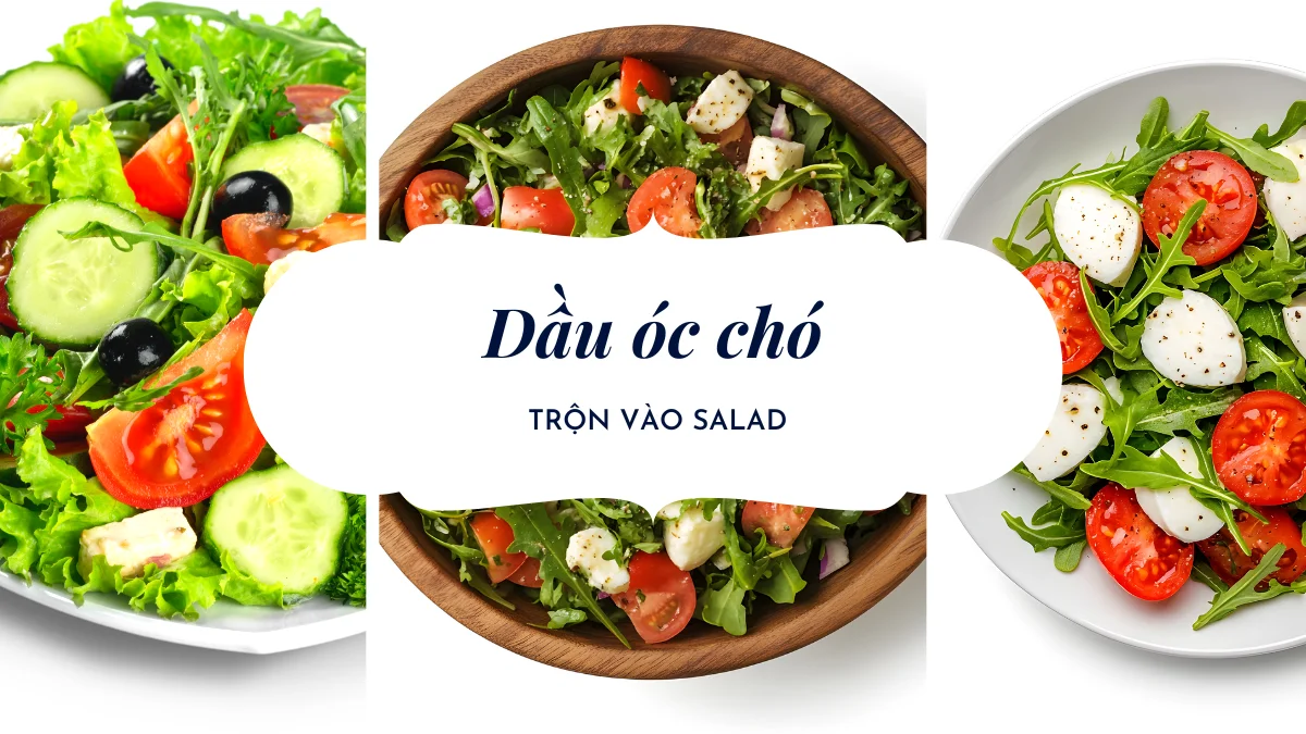 Sử dụng dầu óc cho để trộn Salad