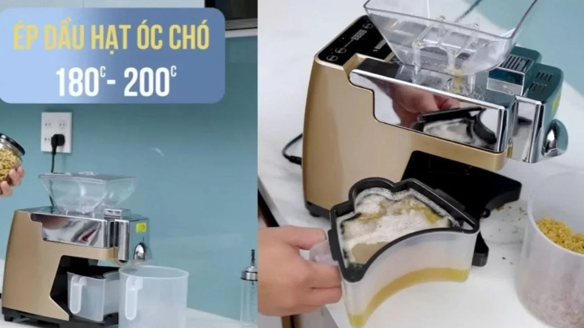 Có thể làm dầu óc chó bằng máy ép dầu