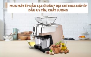Mua máy ép dầu lạc ở đâu? Gợi ý địa chỉ mua máy ép dầu chính hãng tại TP Hồ Chí Minh