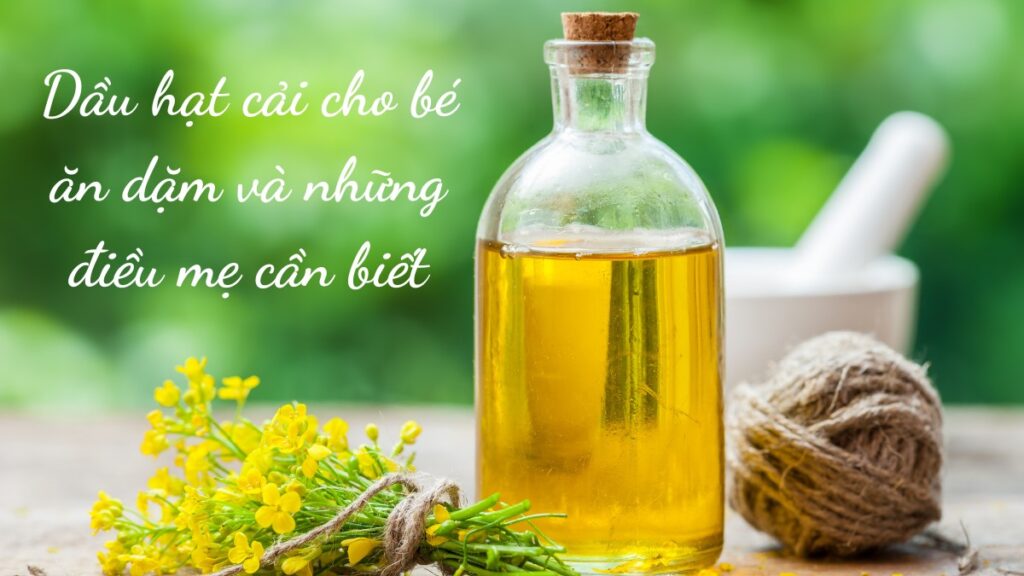 Dầu hạt cải cho bé ăn dặm và những điều mẹ cần biết