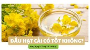 Dầu hạt cải có tốt không? Công dụng và lưu ý khi sử dụng