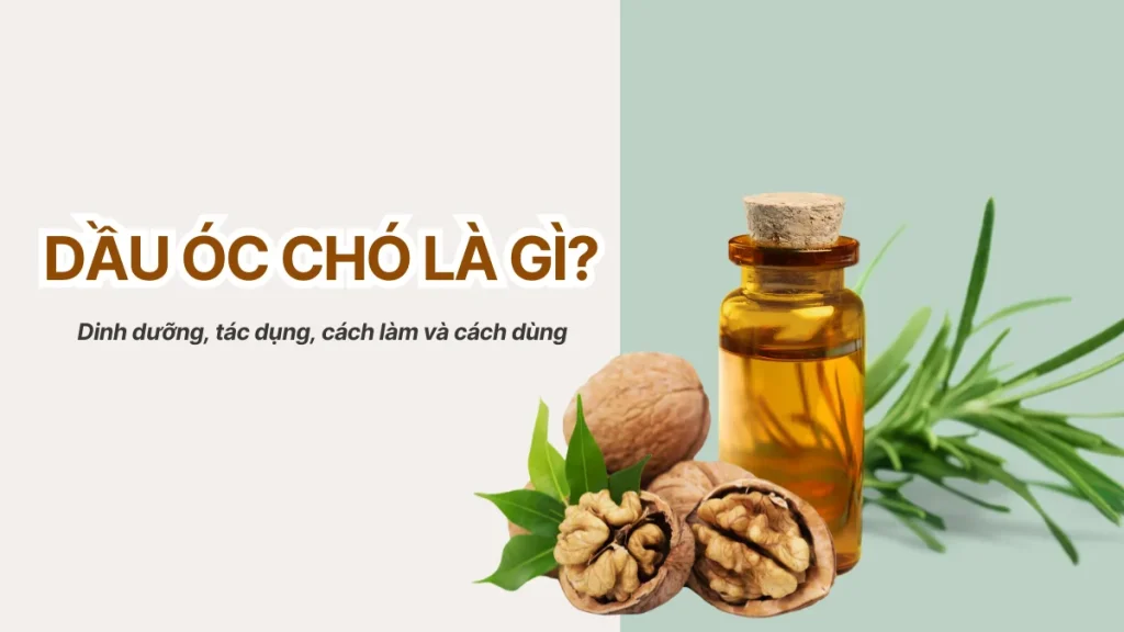 Dầu óc chó là gì? Dinh dưỡng, tác dụng, cách làm và cách dùng